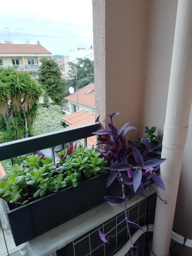 " Sete A Vous" Apartment Bagian luar foto